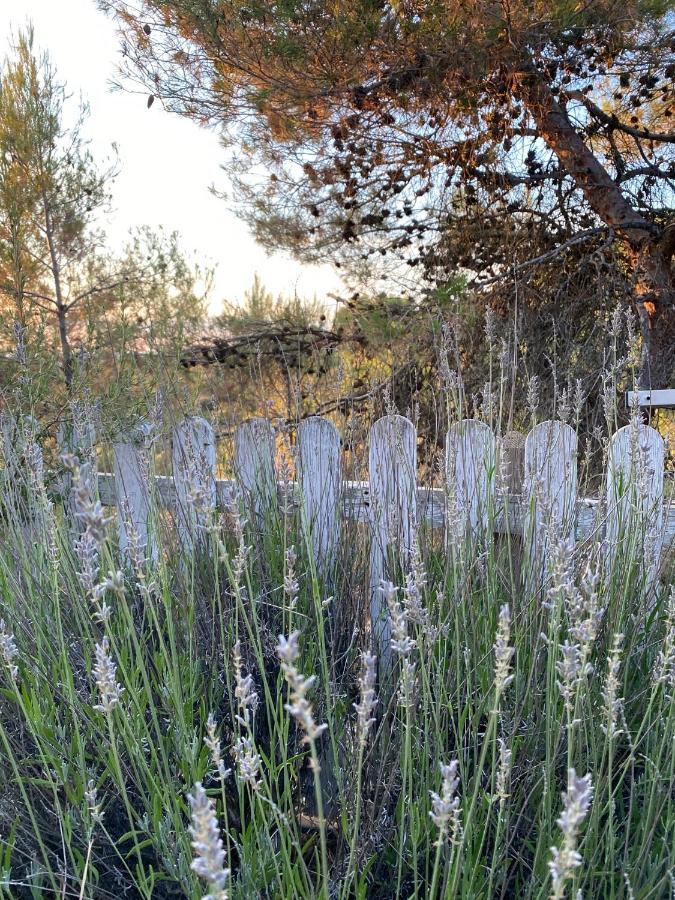 Alcarria , Casa Del Agua Villa Albalate De Zorita Eksteriør billede